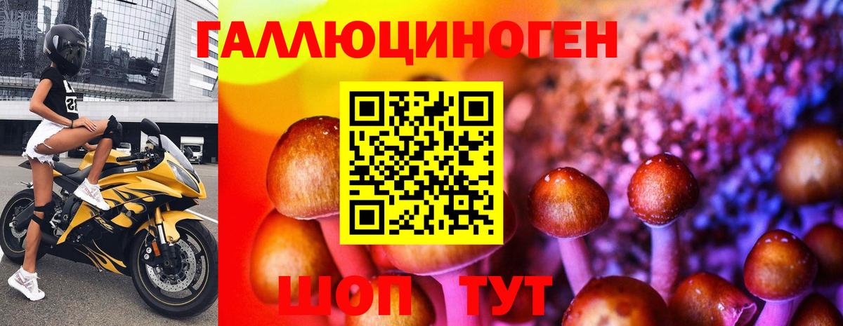 Псилоцибиновые грибы MAGIC MUSHROOMS  Вход с VPN  Махачкала  Галлюциногенные грибы Psilocybine cubensis 